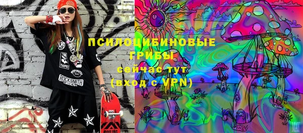 хмурый Балабаново