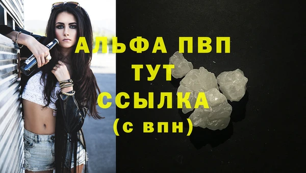 шишки Новокубанск